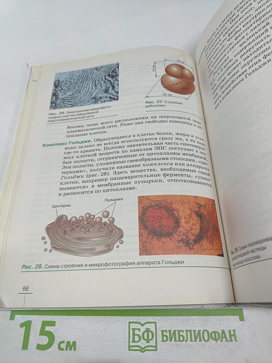 Биология. Введение в общую биологию для 9 класса