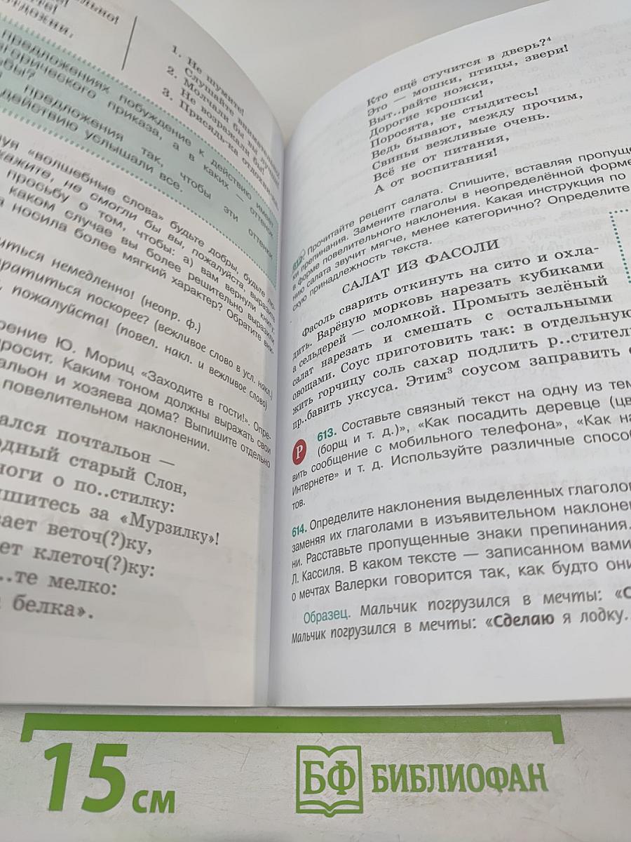Русский язык 6 класс. Часть 2