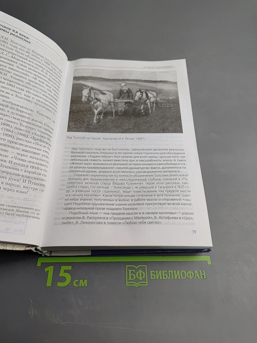 Литература. 11 класс, Часть I