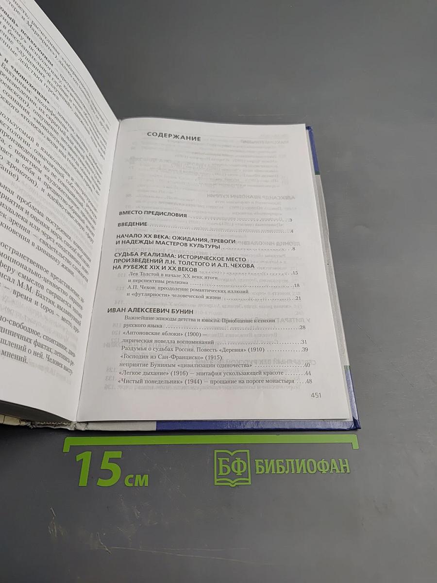 Литература. 11 класс, Часть I