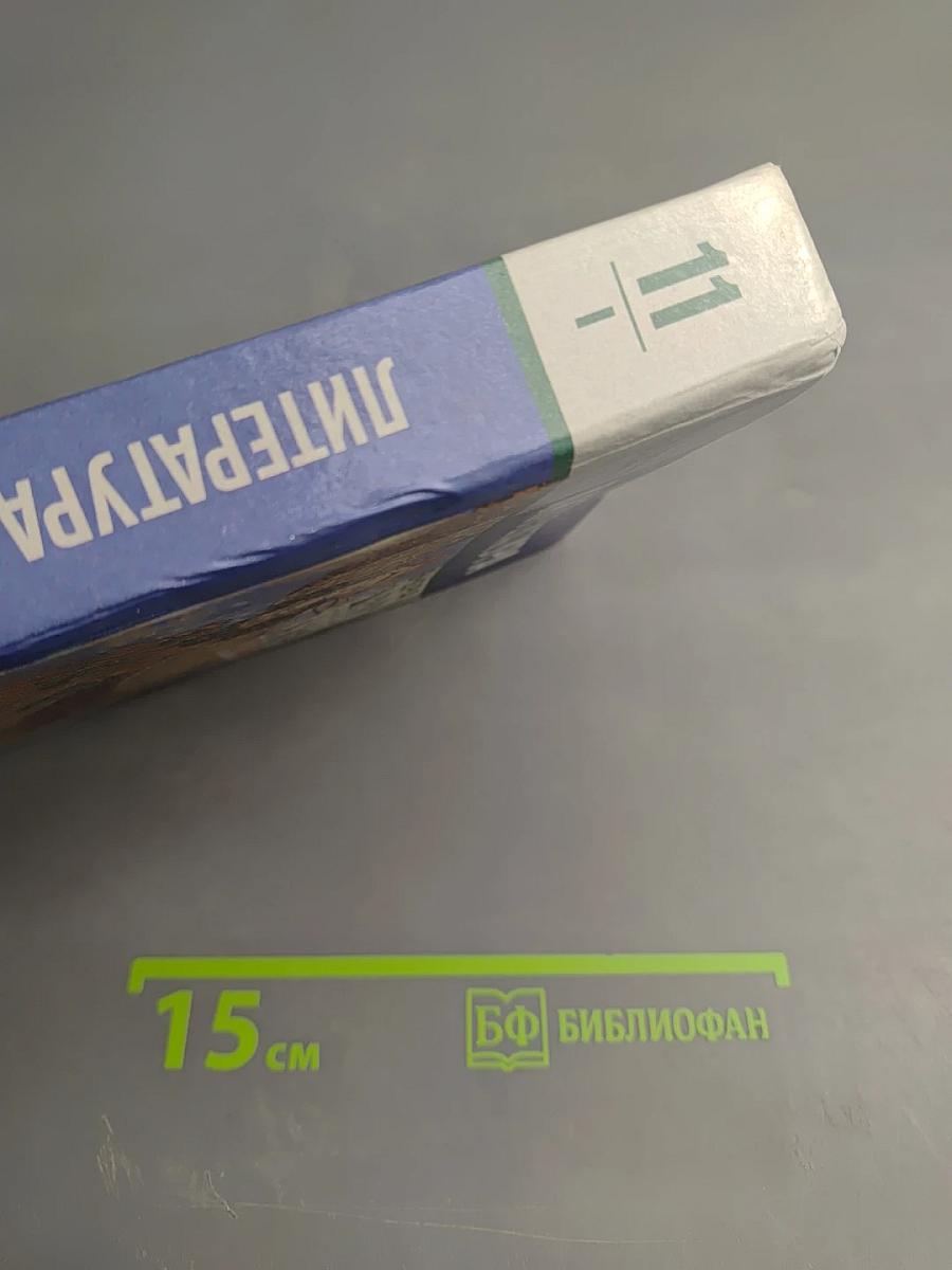 Литература. 11 класс, Часть I