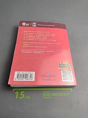 Чтение 7 класс