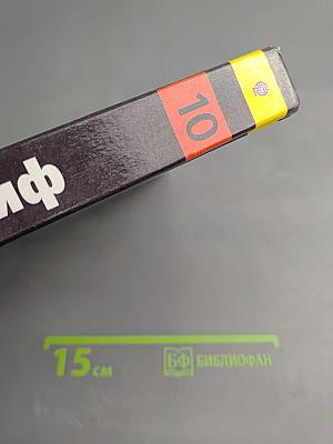 Физика 10 класс. Классический курс