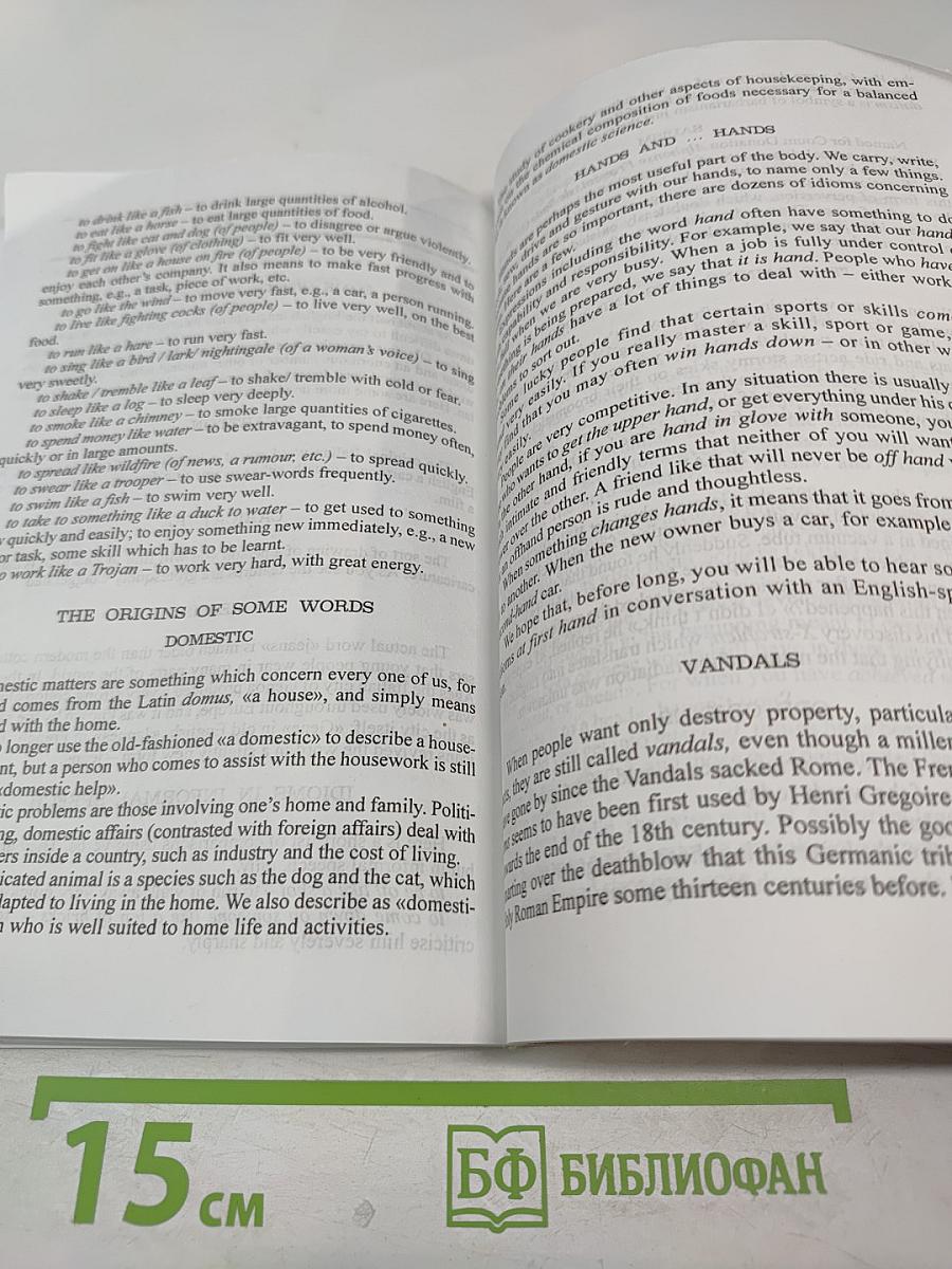 Английский язык. Занимательный урок: Сборник дополнительных материалов. 8-9 классы