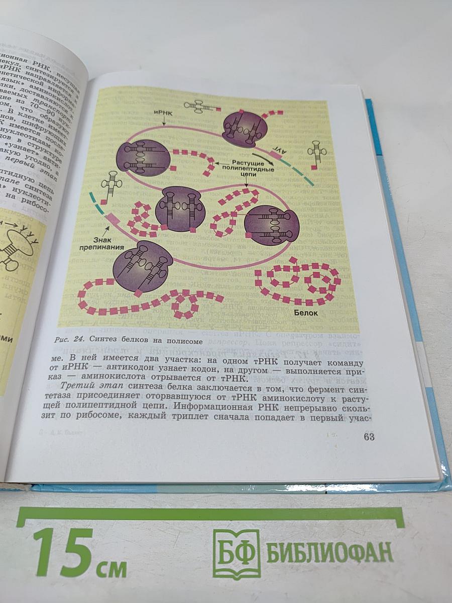 Биология. Общая биология 10-11 классы