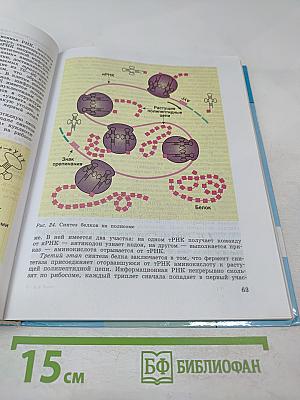 Биология. Общая биология 10-11 классы