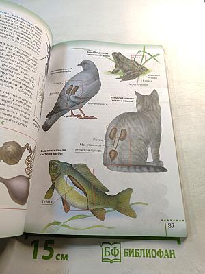 Биология, 6 класс