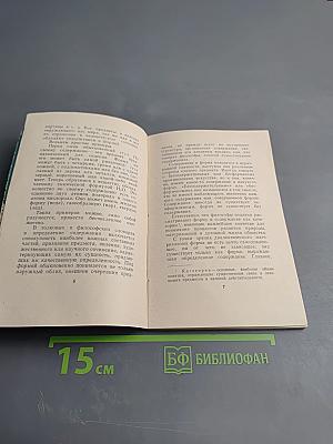 Содержание и форма художественного произведения