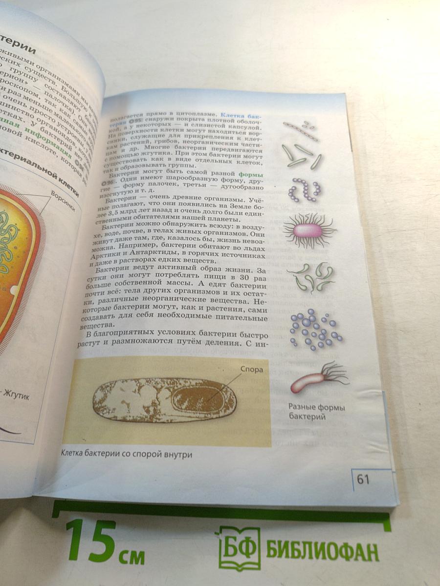 Биология 5 класс