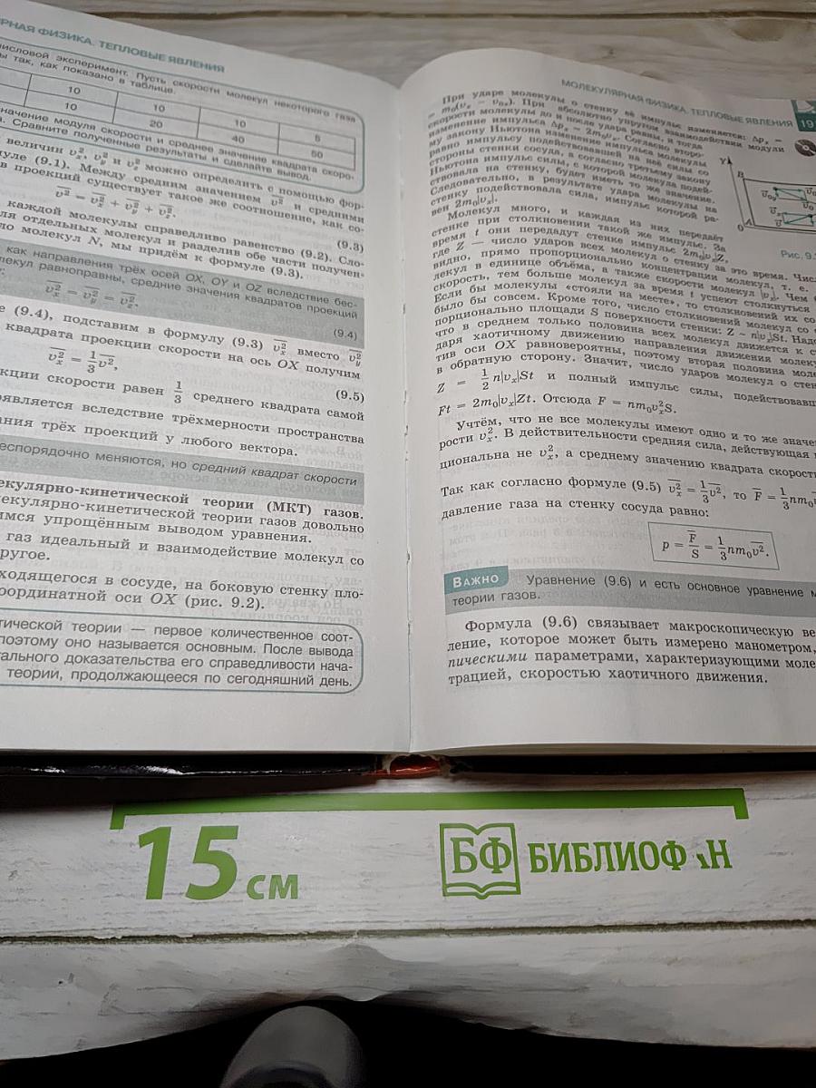 Физика 10 класс