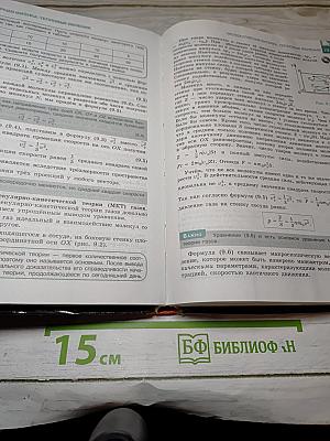 Физика 10 класс