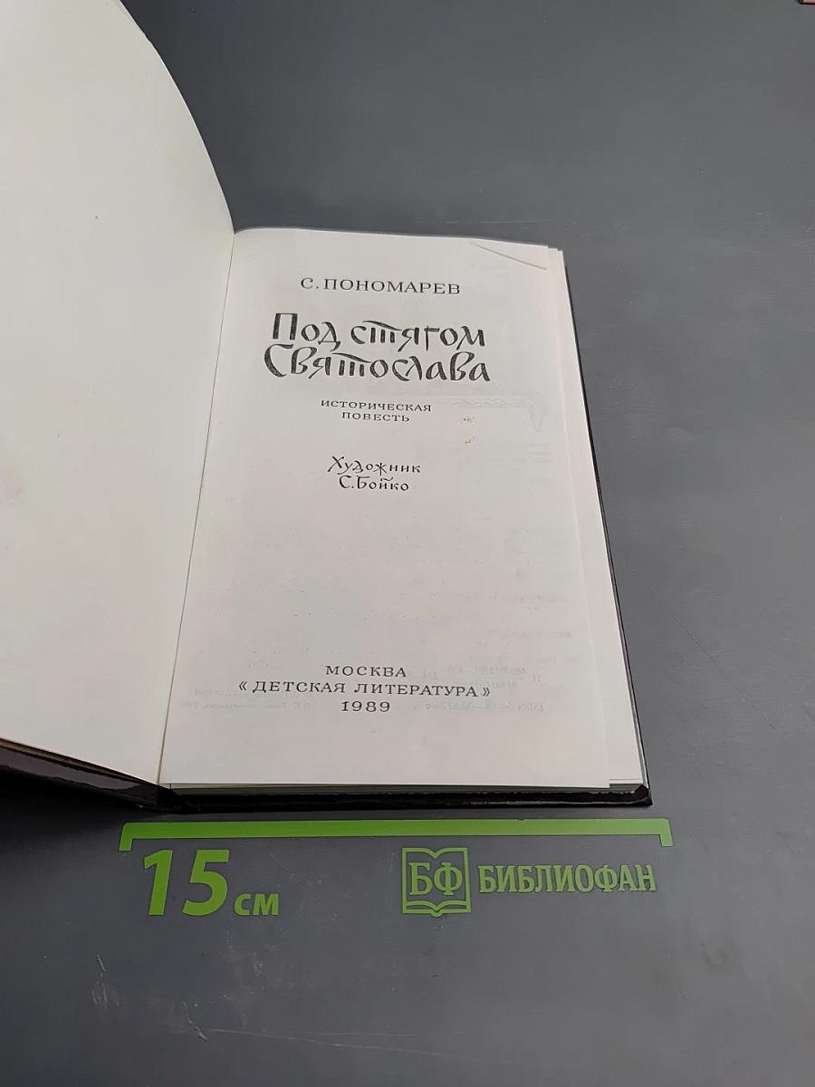 Под стягом Святослава