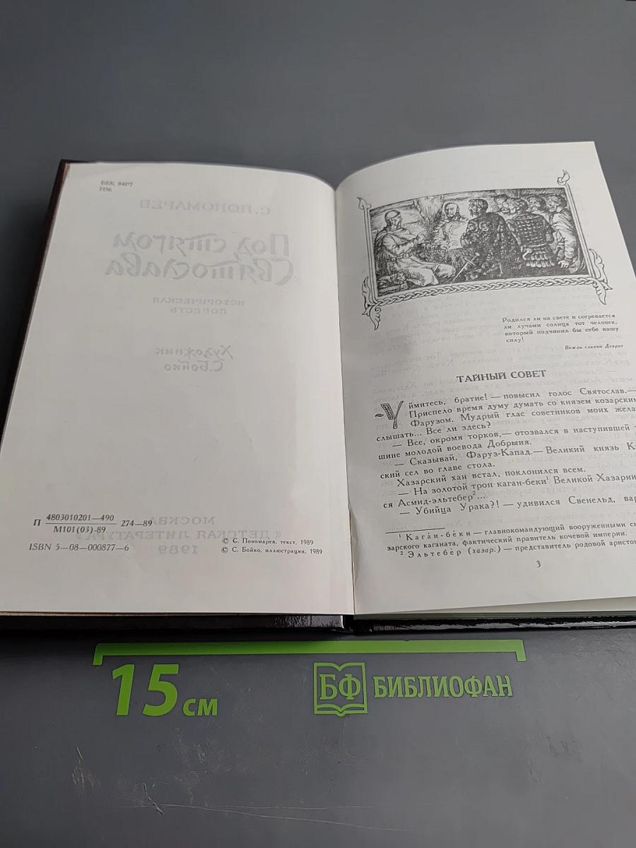 Под стягом Святослава