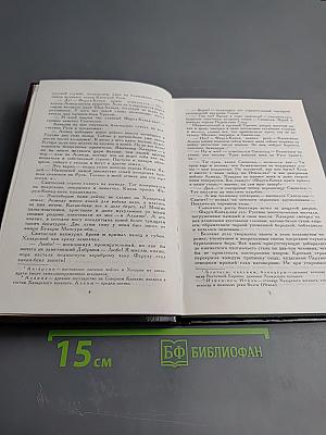 Под стягом Святослава