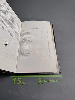 Под стягом Святослава