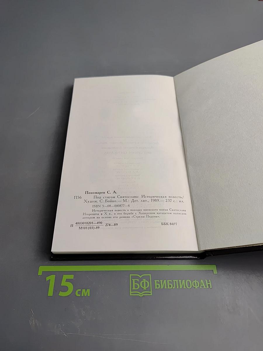 Под стягом Святослава