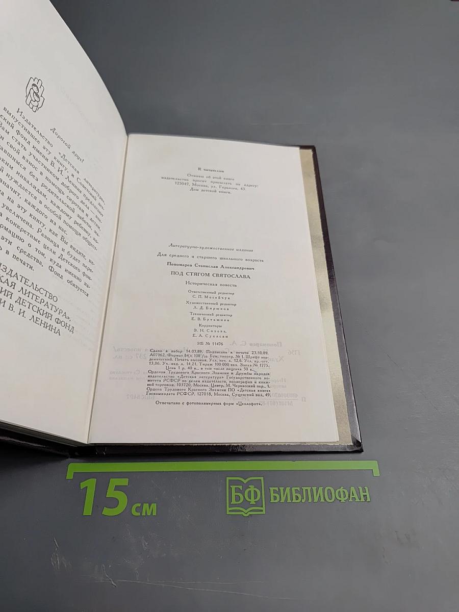 Под стягом Святослава