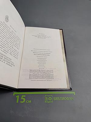 Под стягом Святослава