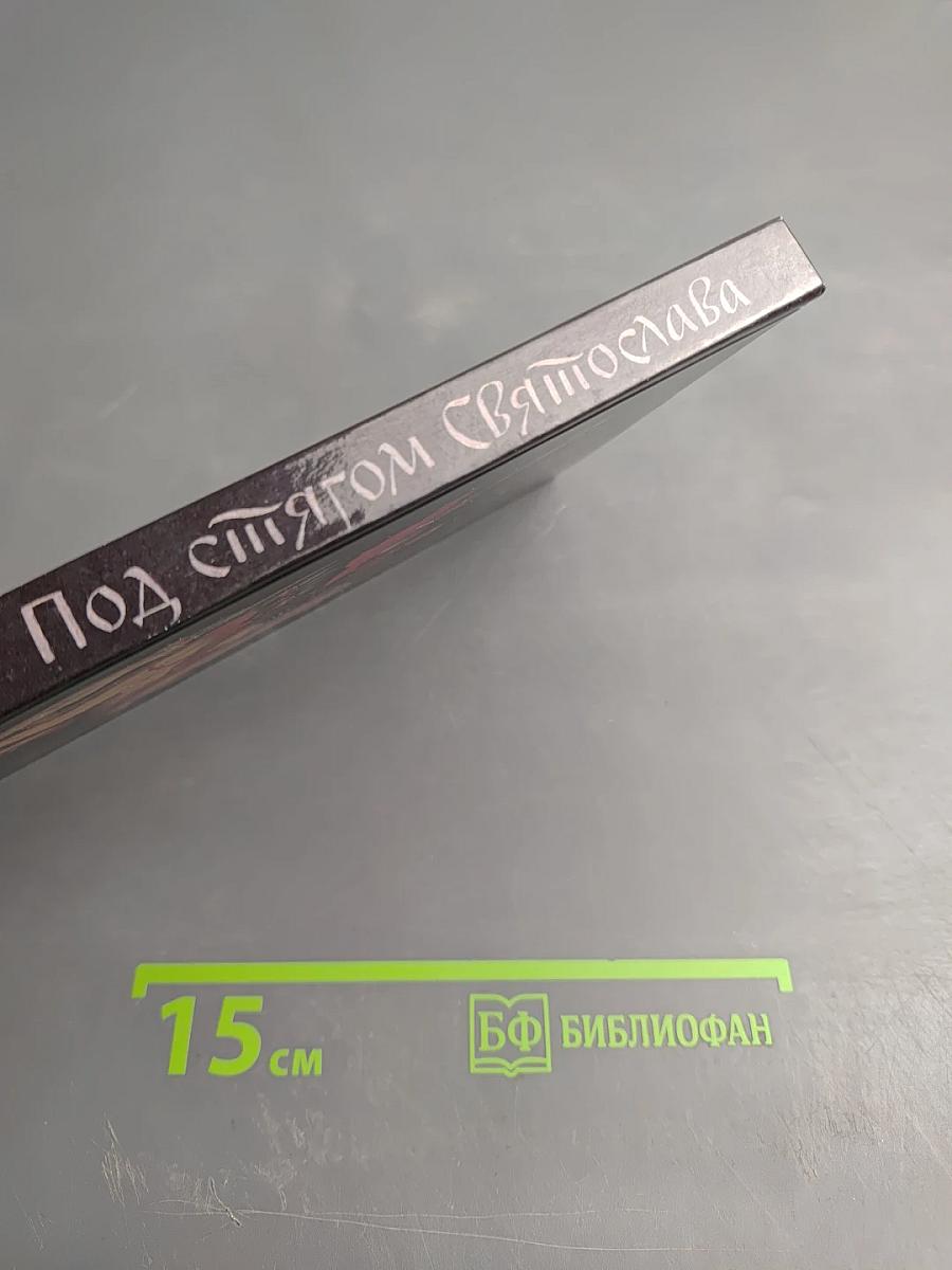 Под стягом Святослава