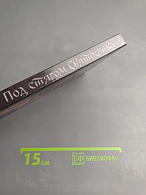 Под стягом Святослава