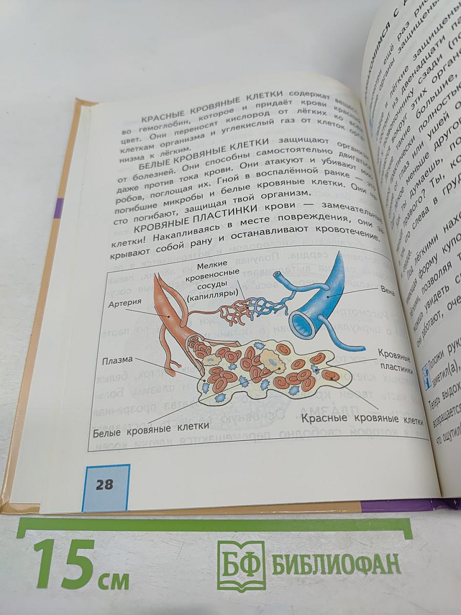 Окружающий мир 4 класс часть 2