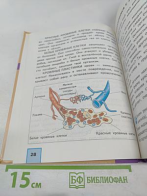 Окружающий мир 4 класс часть 2