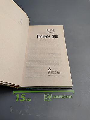 Тройное дно