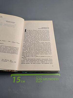 Тройное дно