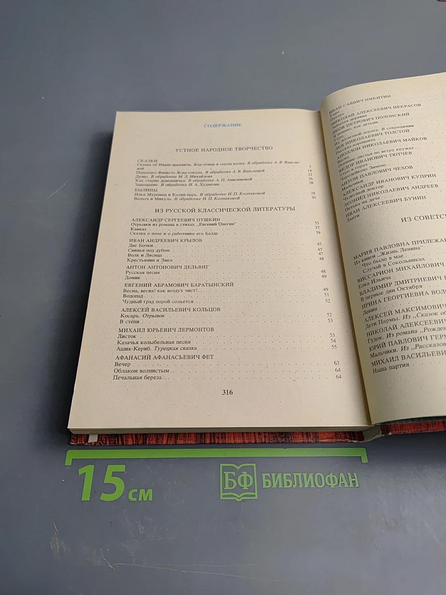 В мире русской литературы. Книга для внеклассного чтения. 4 класс