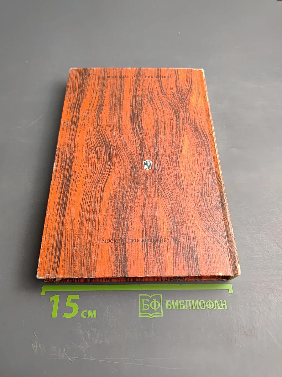 В мире русской литературы. Книга для внеклассного чтения. 4 класс