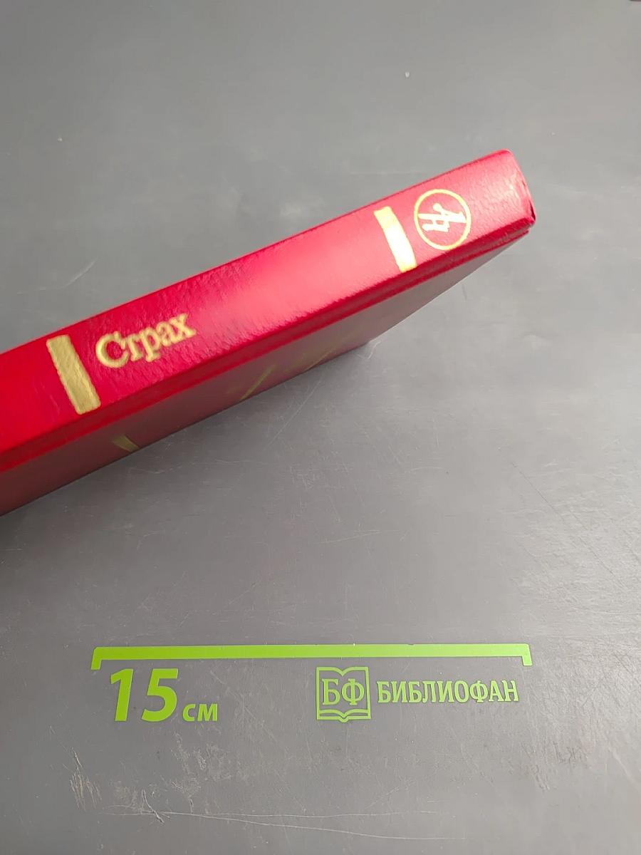 Страх (Тридцать пятый и другие годы). Книга вторая