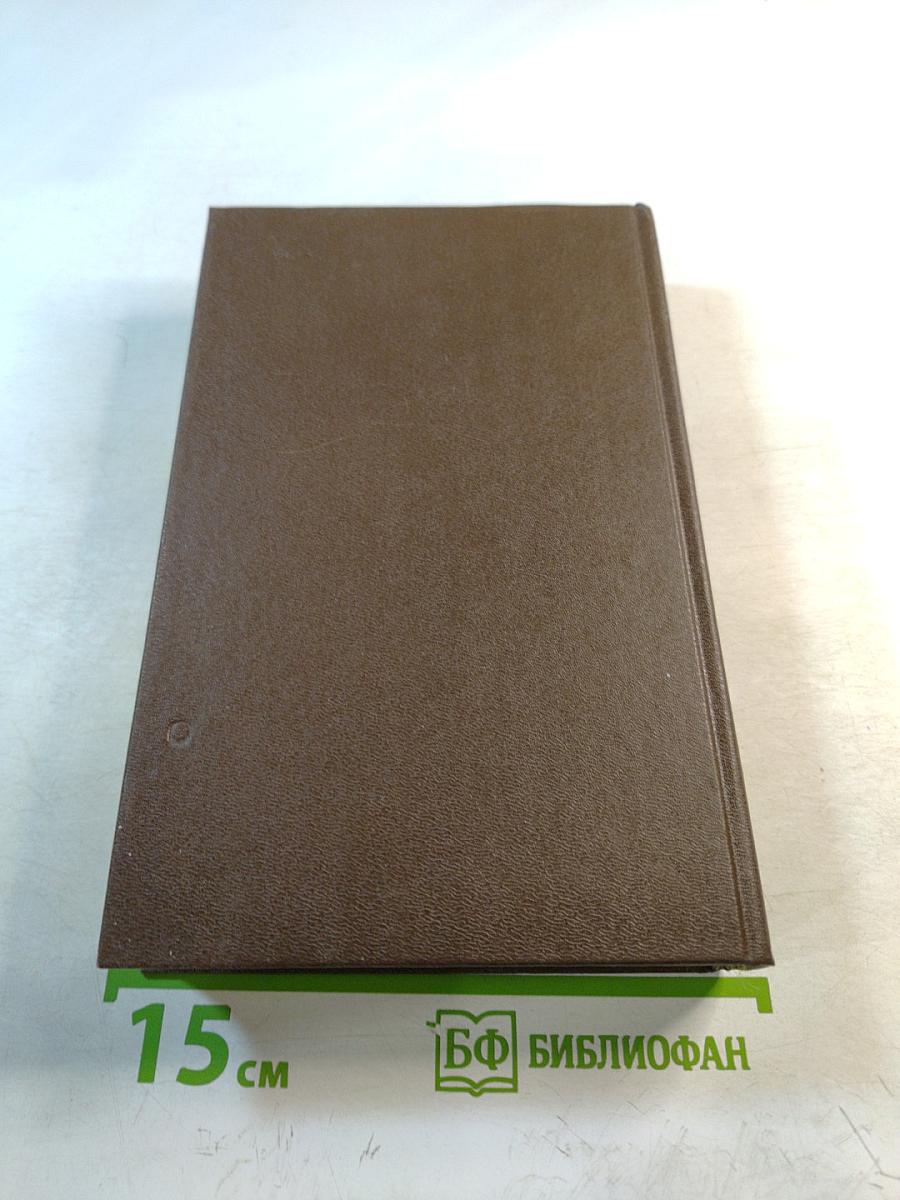 Русская философия: очерки истории