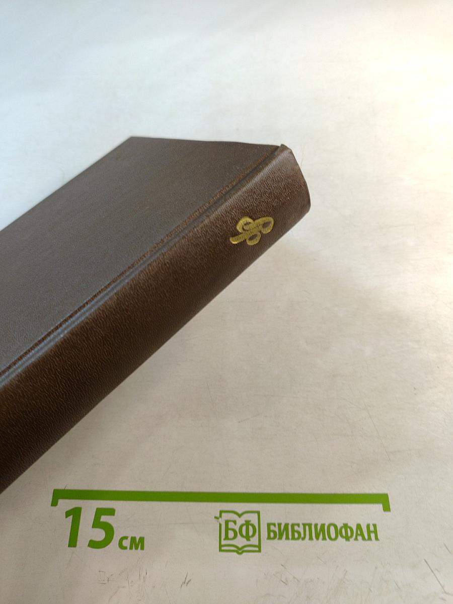 Русская философия: очерки истории