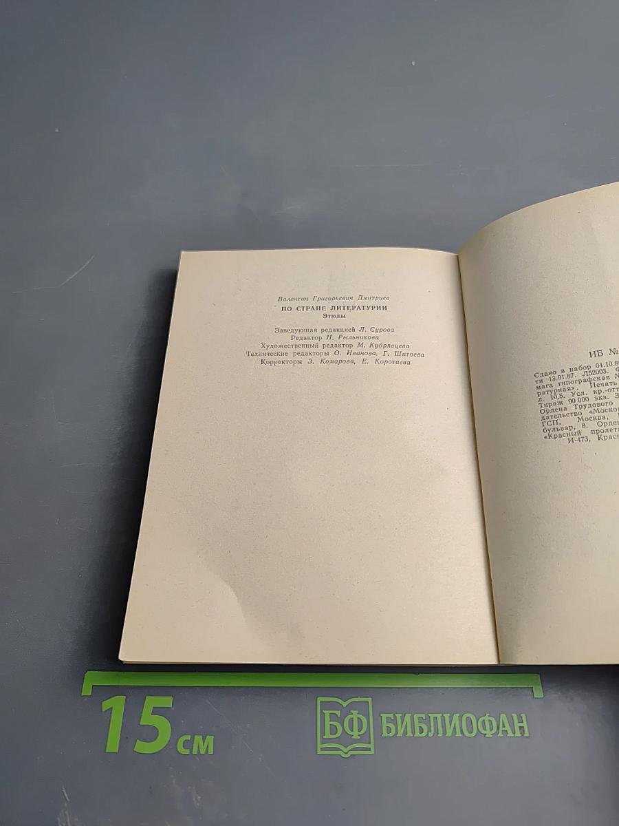 По стране литературы