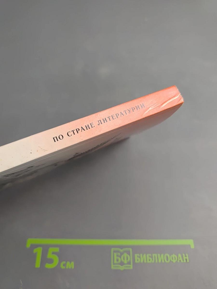 По стране литературы