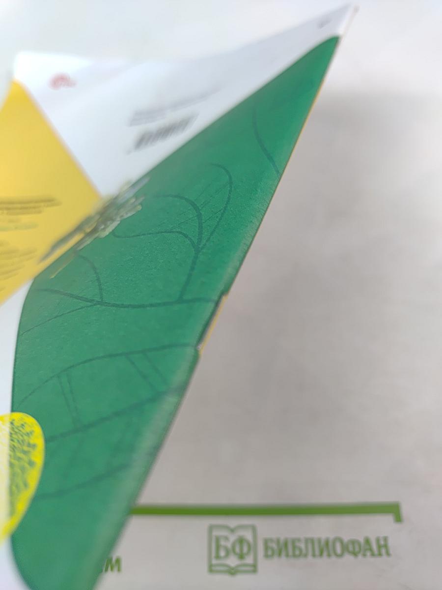 Окружающий мир. Рабочая тетрадь. 1 класс. Часть 2