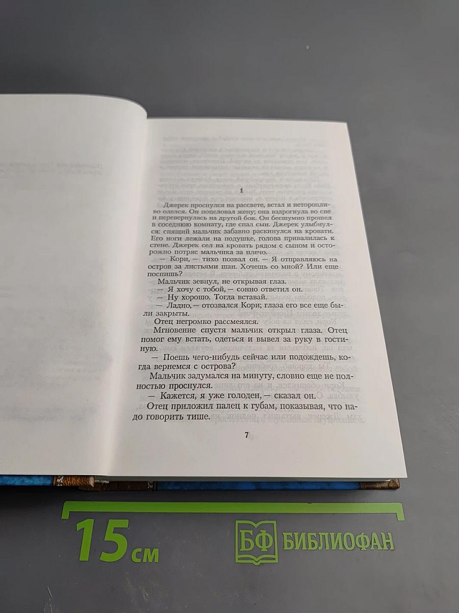 Сыны Амарида