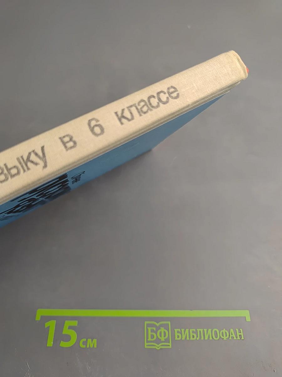 Обучение русскому языку в 6 классе. Методические указания к учебнику