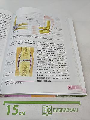 Биология. Человек. 9 класс