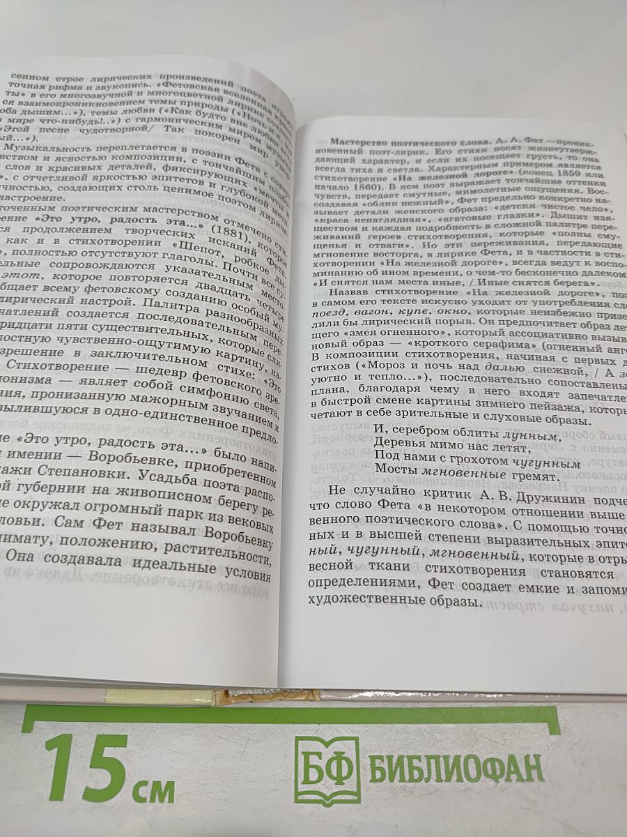 Литература 10 класс Учебник