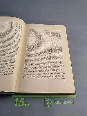 На грани веков. Книги I и II