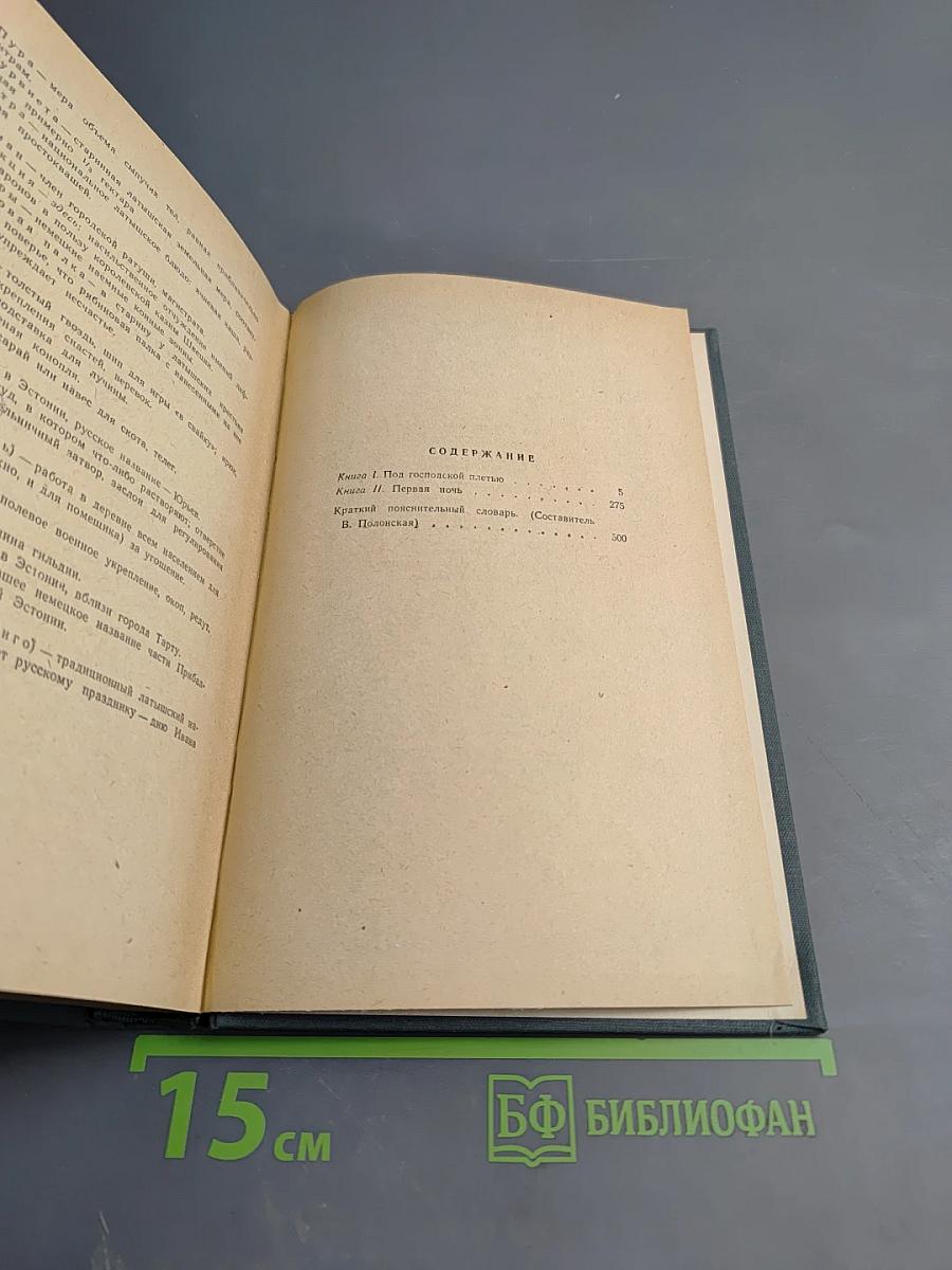 На грани веков. Книги I и II