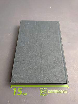 На грани веков. Книги I и II