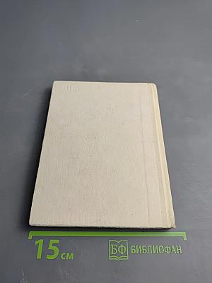 Рыцарь книги