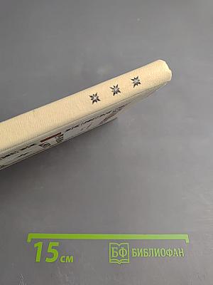 Рыцарь книги