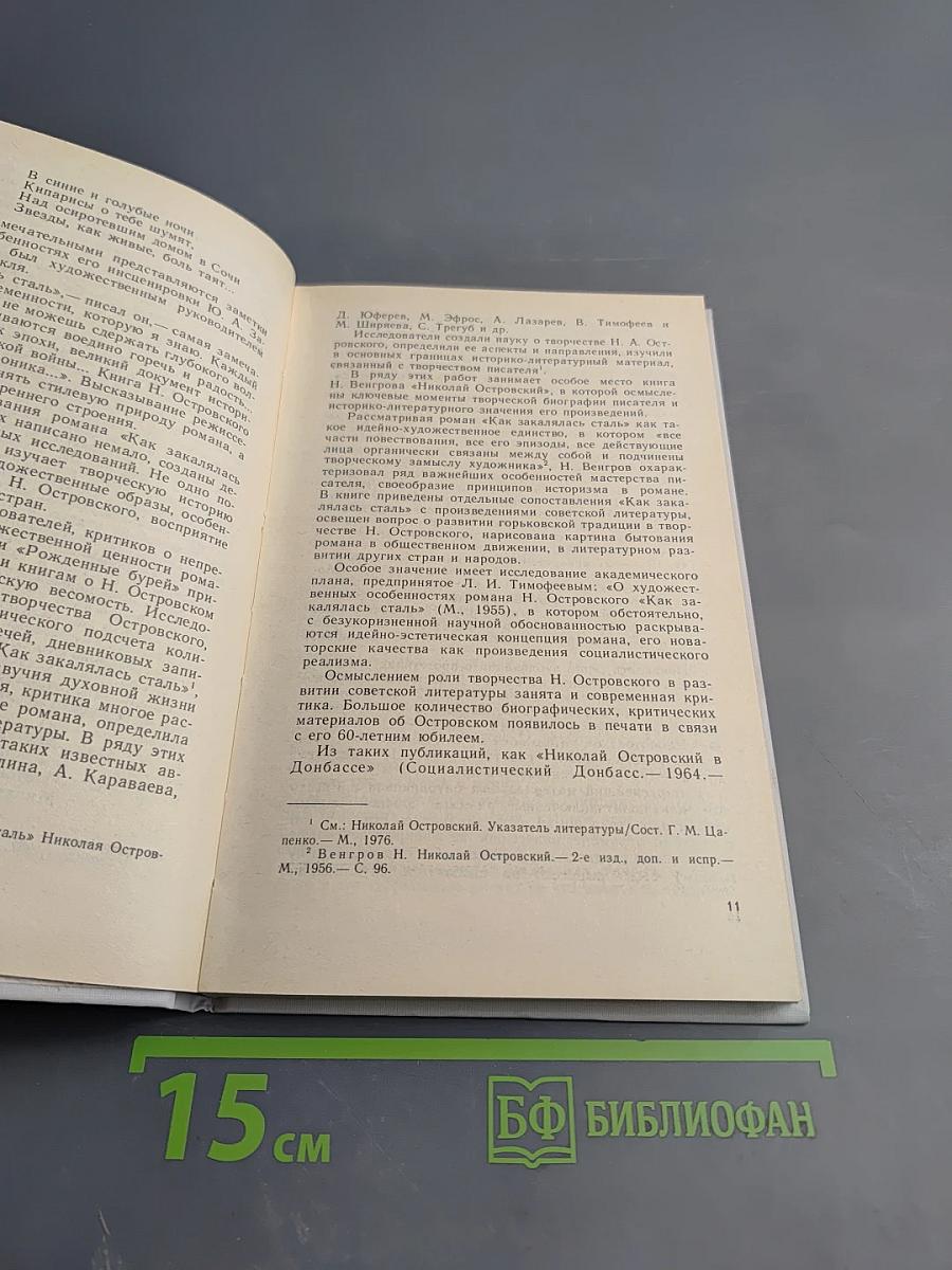 Счастье борца. О романе Н. А. Островского «Как закалялась сталь»