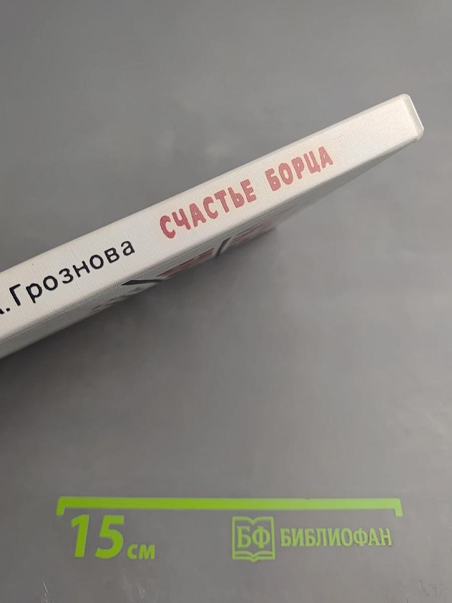 Счастье борца. О романе Н. А. Островского «Как закалялась сталь»