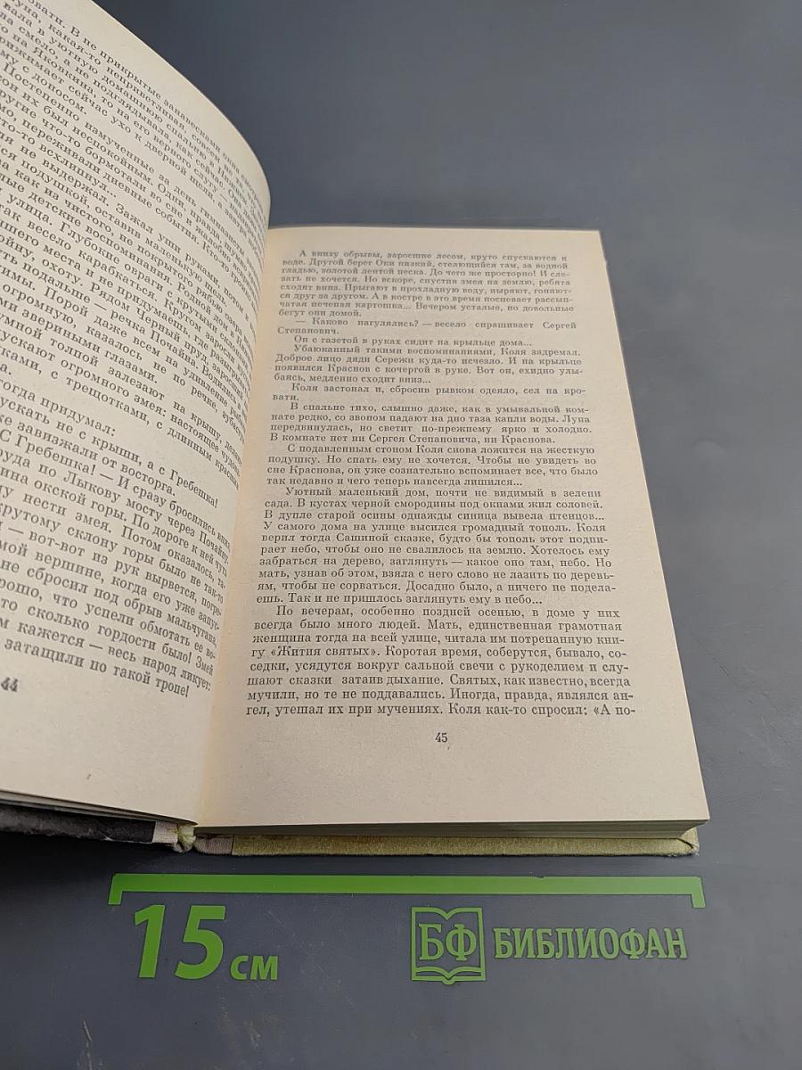 Серебряная подкова