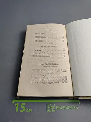 Серебряная подкова