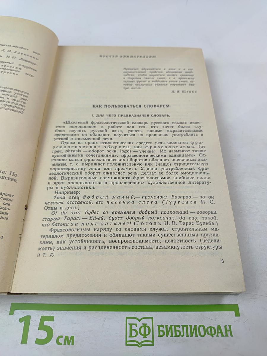 Школьный фразеологический словарь русского языка